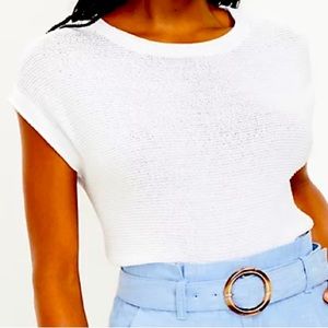 Loft Muscle Sweater Tee - Brand New